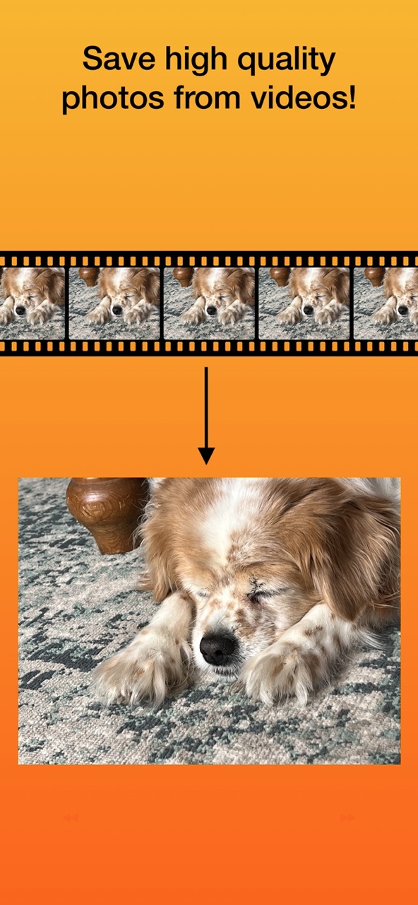 Photo Extractor Screenshot 1
